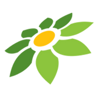 APK SCRIPT ML